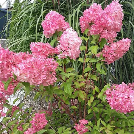 Апартаменты Nowy Zdroj