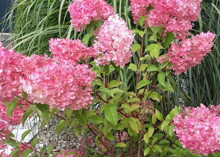 Apartment Nowy Zdroj